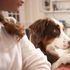 Cucinate per i vostri cani e gatti? Tranquilli, avete illustri predecessori