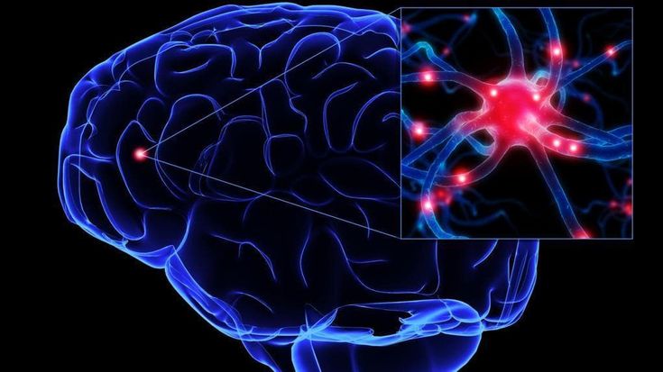 Alzheimer, i primi sintomi e le soluzioni per le famiglie del malato