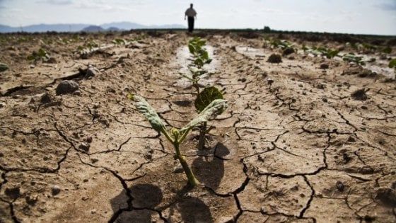 L'Emilia Romagna ha sete, è emergenza siccità: "Le falde sono scariche"
