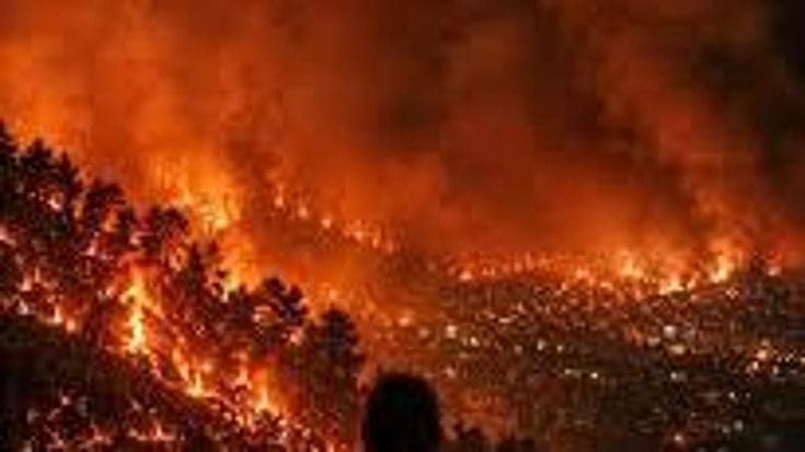 Algeria, si punta a estendere la pena capitale per i reati ambientali dopo gli incendi di agosto