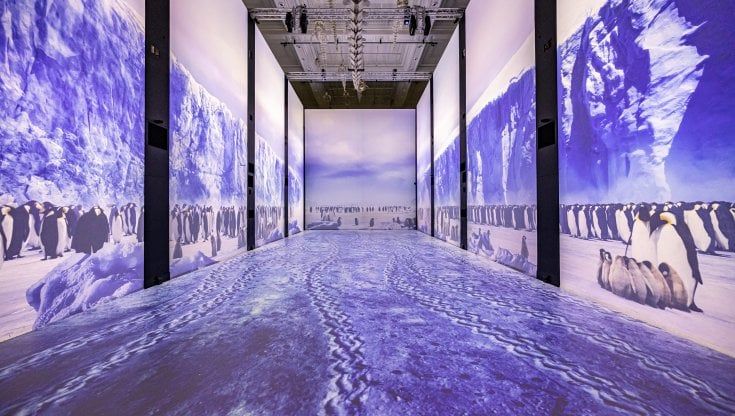 Missione Polare, un viaggio interattivo tra Artide e Antartide al museo oceanografico di Monaco