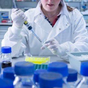 Torino: ricercatrice universitaria licenziata dopo 15 anni da precaria