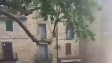 Francia, forti inondazioni colpiscono Montpellier: le auto vengono trascinate via dall'acqua