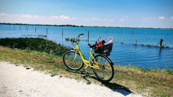 Isola di Albarella: enogastronomia ed eccellenze locali per valorizzare il territorio