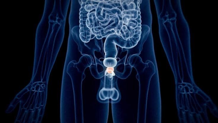 Prostata, una ghiandola da tenere sempre sotto controllo