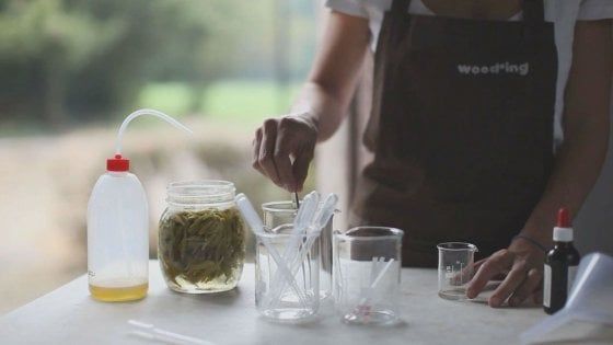 Sostenibilità e foraging conservativo, il nuovo gusto delle bevande analcoliche 