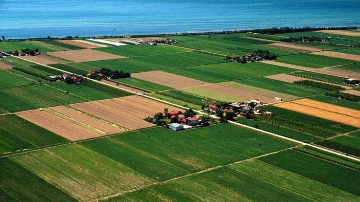 Bonus agricoltori, come funziona il credito d’imposta fino a 2.500 euro per le spese di formazione