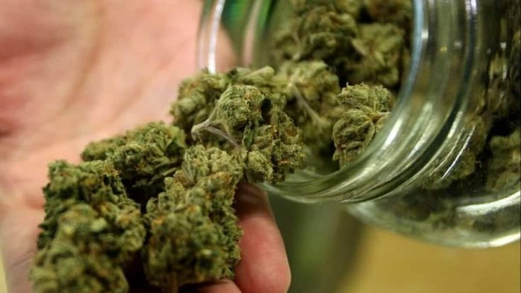 Cannabis light, Marola: "C'è una indagine penale in corso a Parma" 