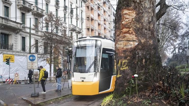 L’autista del tram deragliato insiste: “Telefonata di un minuto e solo prima del malore”
