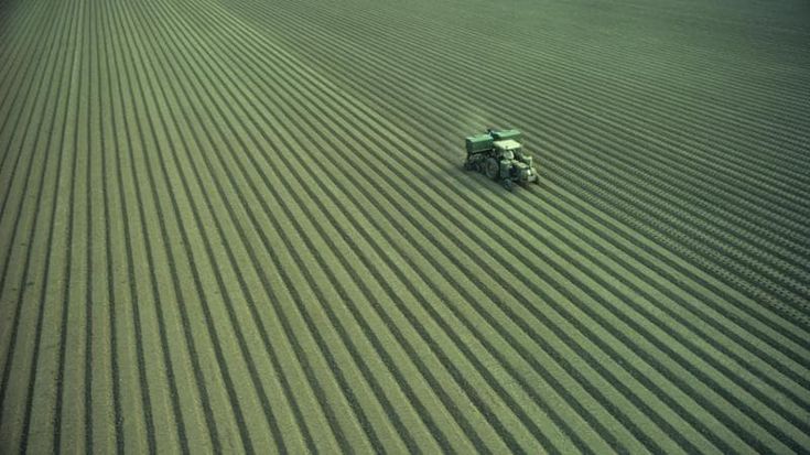 L’agroalimentare italiano alla sfida della sostenibilità