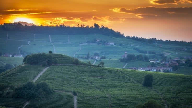 La magia del vino e delle sue terre raccontate dai grandi scrittori e personaggi del Novecento