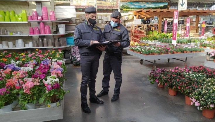 "Trattati come animali e presi a schiaffi", le testimonianze dei lavoratori del vivaio Zazzera di Inveruno