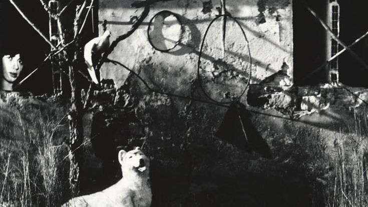 Una mostra di Mario Giacomelli per i vent’anni di Mufoco, il museo della fotografia e dell’immagine tecnologica