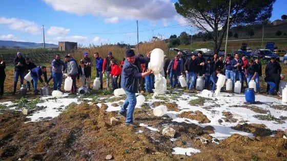 Latte, la controproposta dei pastori sardi: "Subito 80 centesimi al litro". Centinaio: "Ok dell'Ue al nostro piano"