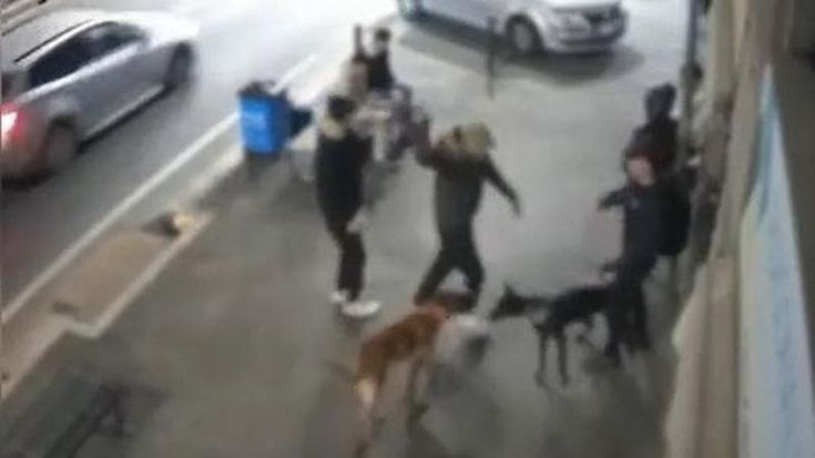 Catena, coltello e un cane usato come arma per assaltare le vittime: fermati due rapinatori
