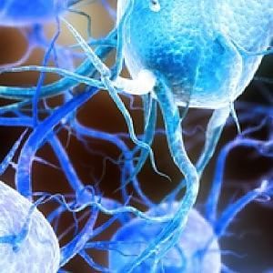 Una pianta mediterranea per vincere il tumore al cervello