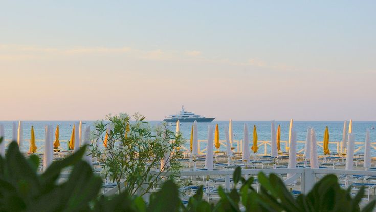 La prima cosa bella di giovedì 19 settembre 2019