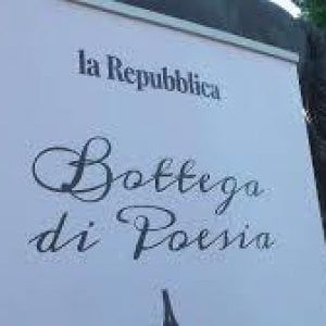La bottega della poesia - "Due haiku liberi" di Andrea Donna - 3 giugno 2020