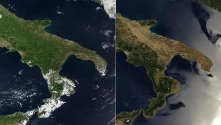 Dal verde al giallo, l'ondata di calore in Europa: le immagini dal satellite