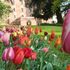 Riviera Ligure o Franciacorta, metti 4 passi in giardino