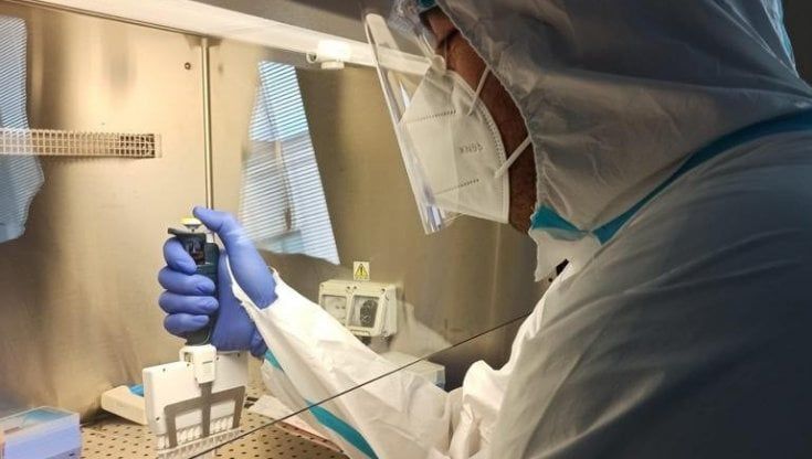"Dai test sull'antrace alle donazioni di plasma iperimmune: così ora lavoriamo per salvare vite in era Covid"