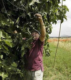 Quaranti milioni e 5mila occupati per Fico. Farinetti: "Eataly verso la Borsa nel 2017"