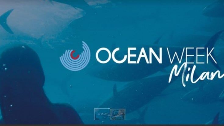 La Ocean week porta il mare a Milano: talk, laboratori e arredi urbani a tema