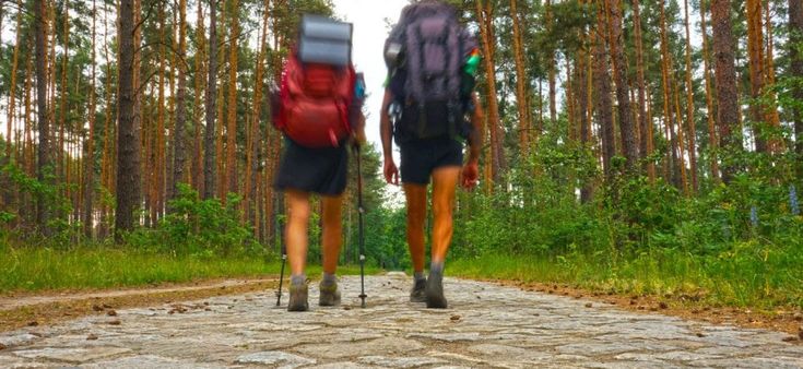 365 volte Europa. Immersi nel profumo dei pini