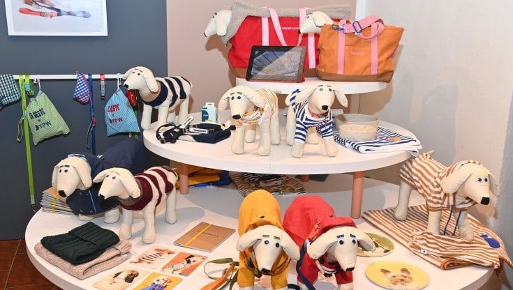 Cappotti catarifrangenti e outfit raffinati, la moda a quattro zampe arriva a Pitti