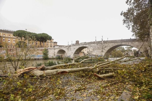 Il maltempo colpisce l'isola Tiberina, alberi e rami caduti