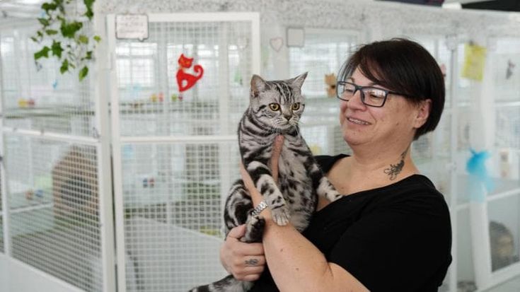 Professione cat sitter, il lavoro più ricercato (e remunerato) nell’agosto milanese: dai 15 ai 25 euro al giorno per curare un felino domestico