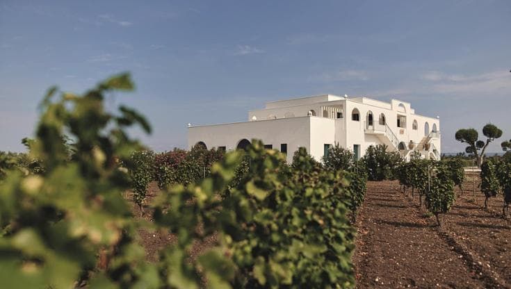 Tinazzi e la geografia alternativa del vino: dalle bolle sul lago di Garda ai piwi in Puglia