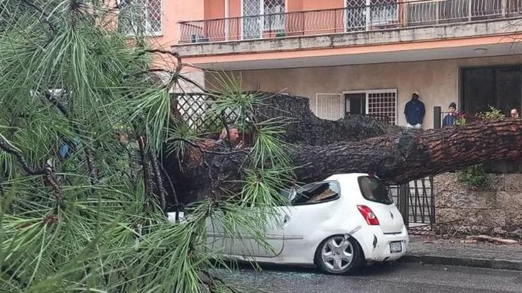 Balduina, pino crollato: “Sono salva per miracolo, poi mi hanno anche multata”