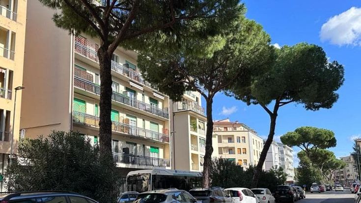 Tramvia Libertà-Rovezzano: dalle Cure a viale Duse, la mappa delle piante da tagliare e sostituire