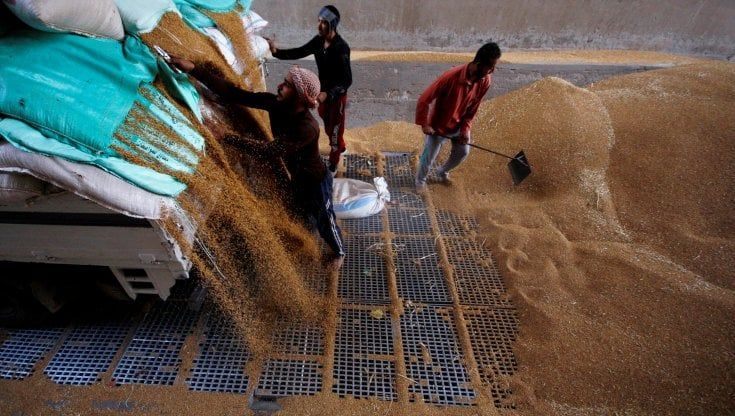 Dalla Nigeria allo Sri Lanka passando per Haiti, la crisi del cibo e dei fertilizzanti affama i Paesi più poveri