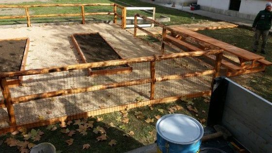 Gravina in Puglia, genitori e figli adottano il giardino della scuola: "Ecco l'orto anti vandali"
