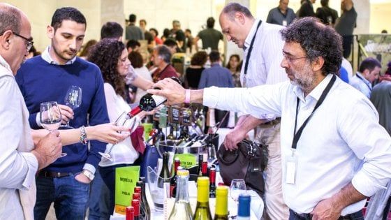 Degustare, studiare, comprare: a Cinecittà tutta la passione dei vignaioli FIVI