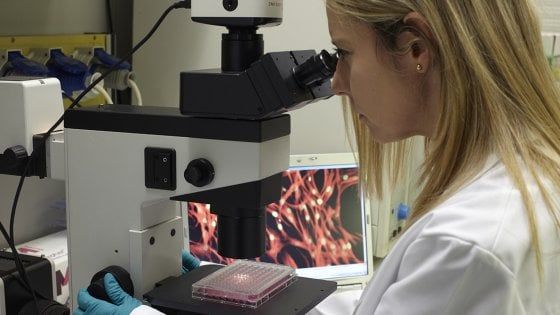 I cervelli escono, i talenti non entrano: l'Italia in fondo alla classifica dei Paesi capaci di attirare risorse
