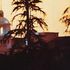 Eagles, quell'hotel che gioca con 'Hotel California' è un falso: la band fa causa