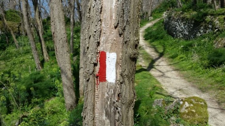 Camminando per sentieri alla scoperta di Ischia