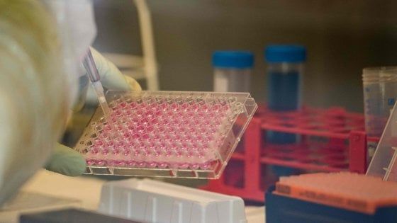 Idrossiclorochina, l'Aifa dà l'ok allo studio di Irccs Negrar-Oxford