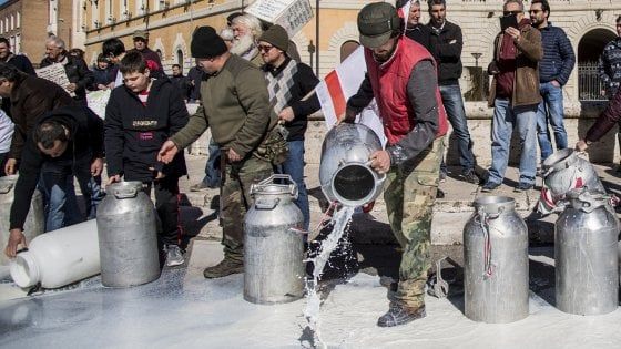 Protesta del latte, i pastori sardi rigettano l'offerta di aumento di 10 cent del governo