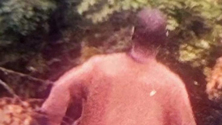 Le ruba il cellulare sul bus e scappa: la donna scende, insegue il ladro con l’auto di un passante