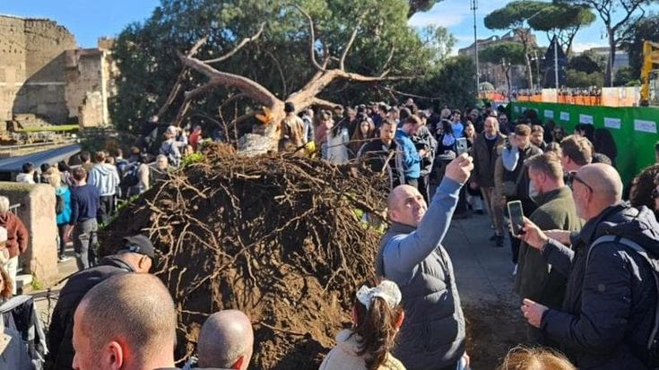 Fori Imperiali, pino cade sui passanti: tre feriti. Stop ai pedoni tra piazza Venezia e largo Ricci