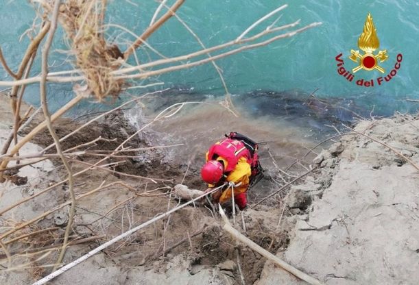 C'è un cane nel fiume: il salvataggio dei vigili del fuoco a Parma