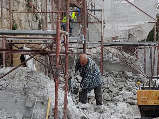 Bosco di Capodimonte, operai al lavoro per rimuovere i barbacane