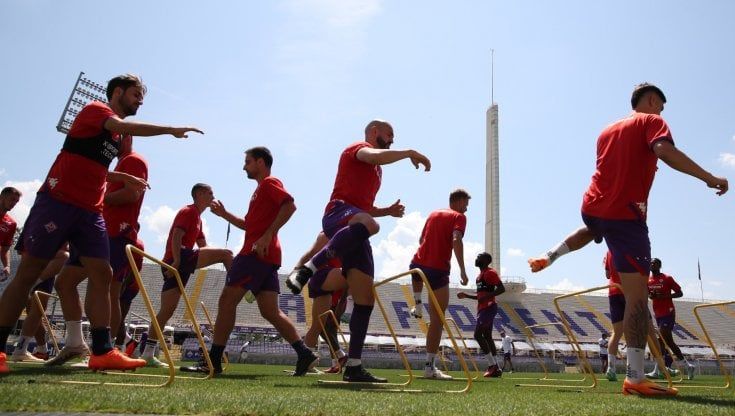 Arrivederci lampredotto, i Mollica's apripista della carica dei novemila Praga per la Fiorentina