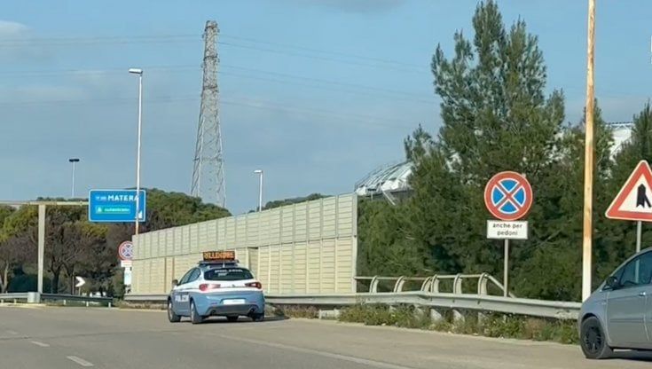 Bari, per ore un pony sulla tangenziale: messo in salvo con i volontari. Poche ore fa l'incidente con un cavallo
