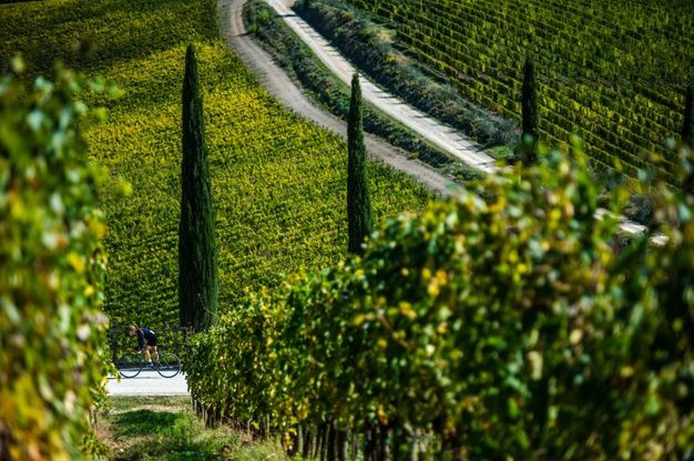 Suggestioni in bici dalle strade bianche dell'Eroica