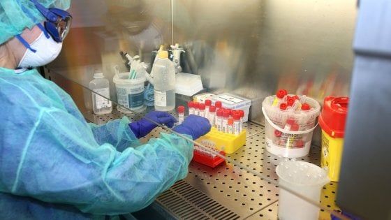Coronavirus: il farmaco antimalarico non funziona. Aumentano i rischi cardiaci